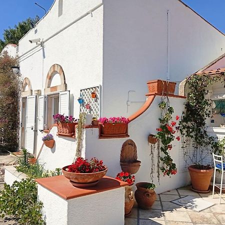 מארוג'ו B&B Le Vele מראה חיצוני תמונה