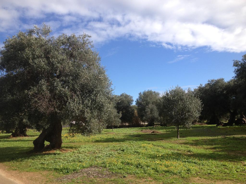 מארוג'ו B&B Le Vele מראה חיצוני תמונה