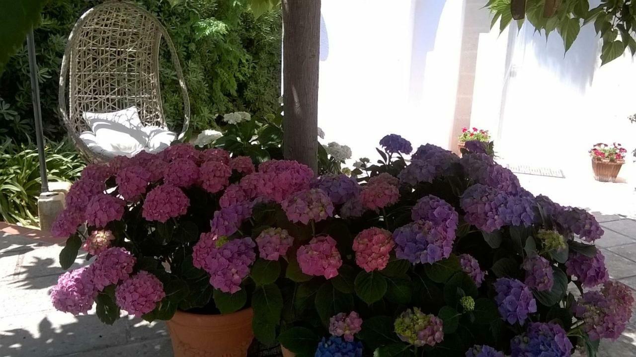 מארוג'ו B&B Le Vele מראה חיצוני תמונה